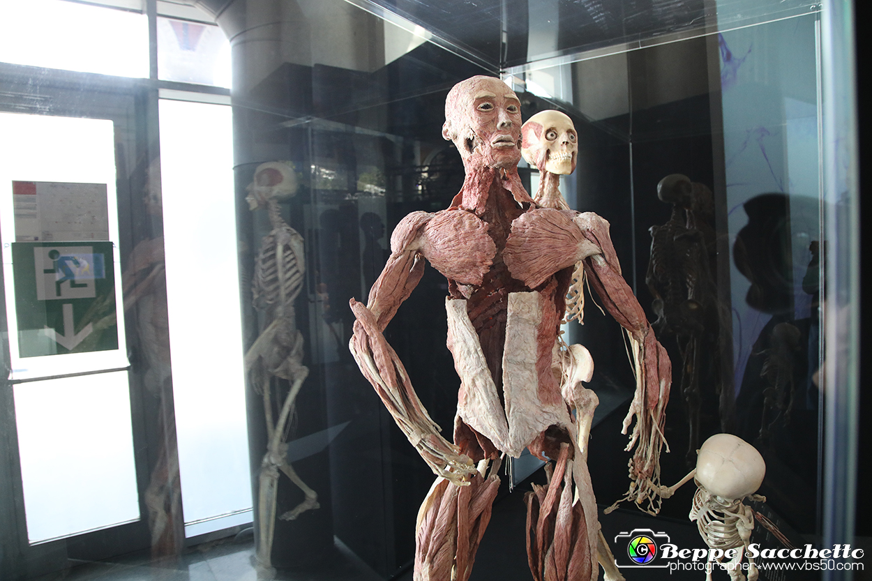 VBS_3041 - Mostra Body Worlds.jpg